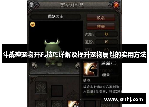 斗战神宠物开孔技巧详解及提升宠物属性的实用方法