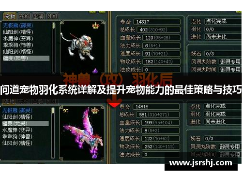 问道宠物羽化系统详解及提升宠物能力的最佳策略与技巧