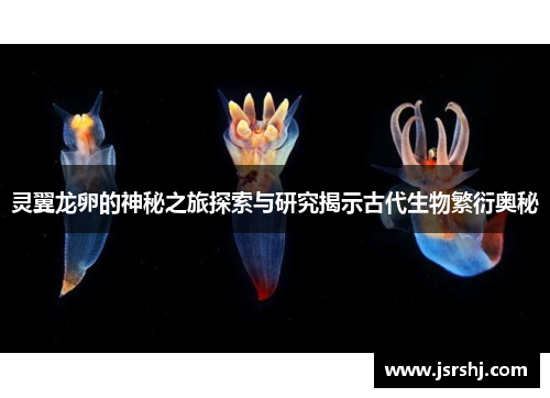 灵翼龙卵的神秘之旅探索与研究揭示古代生物繁衍奥秘